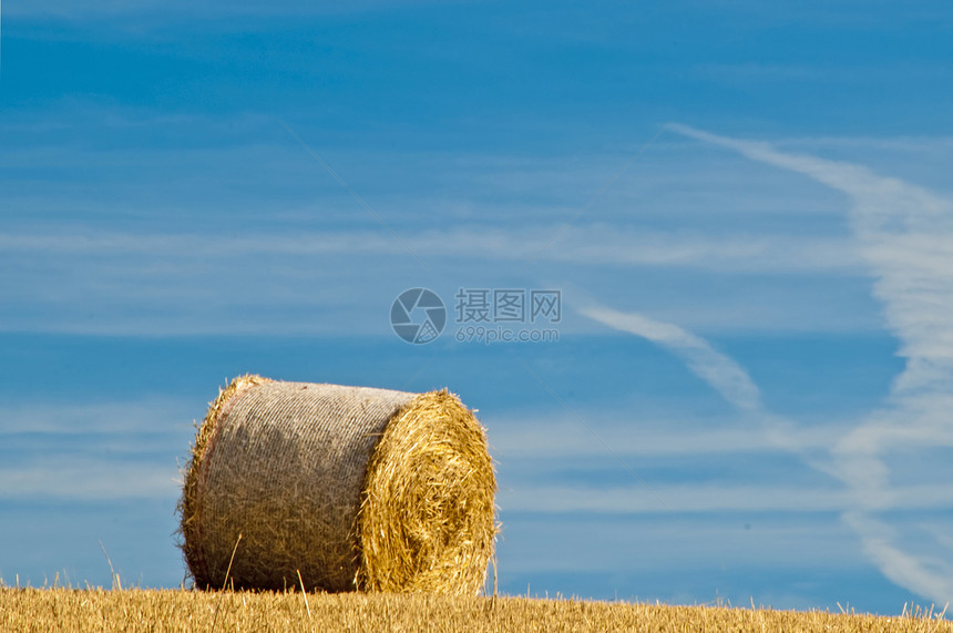 谷物收获国家乡村全景稻草蓝色茬地场地工作农业牧歌图片