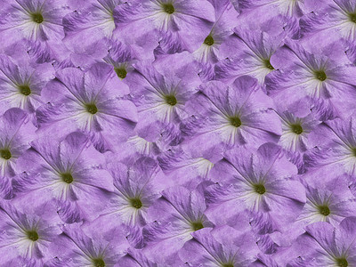 紫紫色天然花纹质纸壁纸背景图片