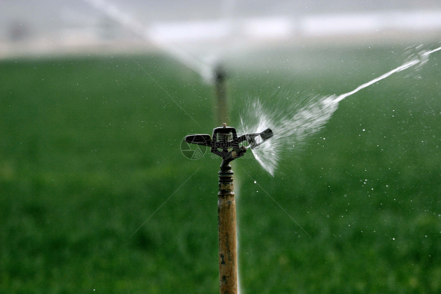 Sprinkler 喷雾器农业场地手线图片