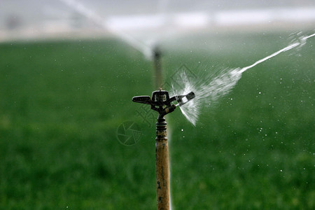 Sprinkler 喷雾器农业场地手线背景图片