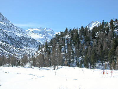 平尼兹伯尔尼纳场景发动机全景山脉运动滑雪冰川背景