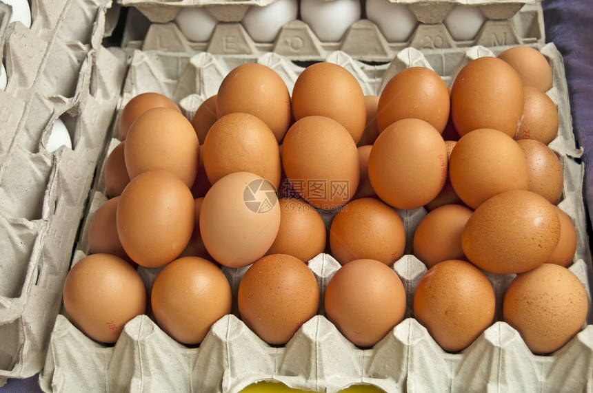 蛋早餐食物游戏健康生物图片