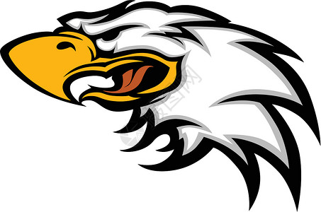 鹰派矢量图中学学校运动羽毛插图猎鹰鸟类动物团队吉祥物插画