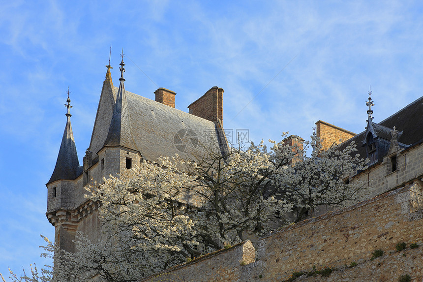 在城堡的春天图片