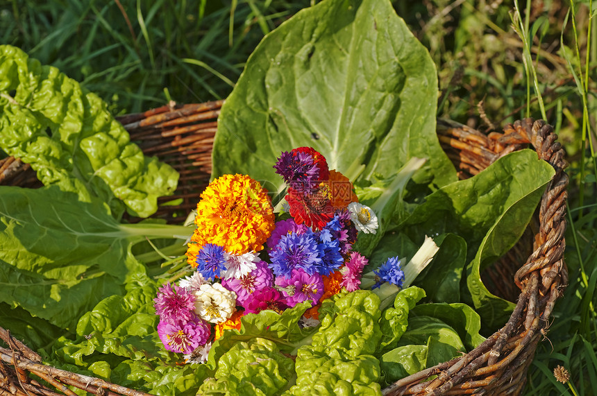 以大篮 沙律和花篮盟誓沙拉季节性园艺食物季节收成花朵风景绿色图片