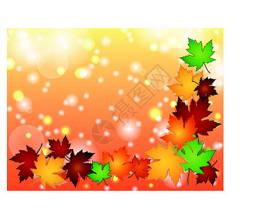 带枫叶的边框带轻效应的红树叶边框设计图片
