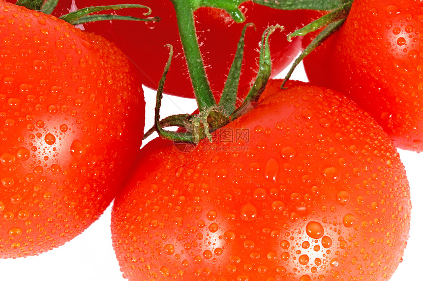 红番茄蔬菜绿色食物植物花园红色白色农业图片
