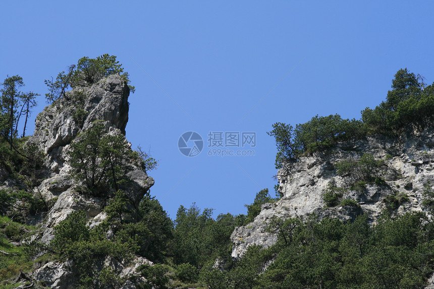 摇滚的针头世界首脑冰川岩石场地松树生物学灌木针叶树叶子图片