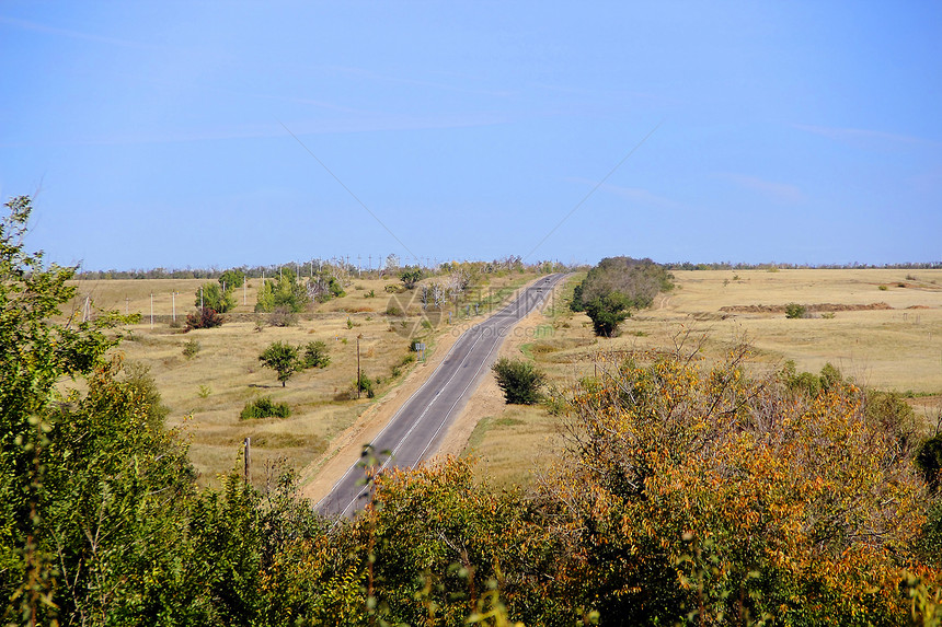 充满道路和天空的夏月风景草本植物蓝色绿色森林地平线黄色橙子植物群图片