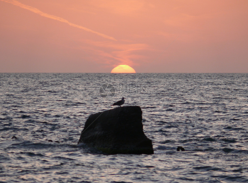 日落在海中天气海岸地平线海浪橙子金子旅行海岸线热带海洋图片