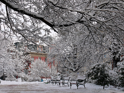 保加利亚索非亚带雪的班子季节花园孤独座位冻结场景天气家具长椅公园背景图片