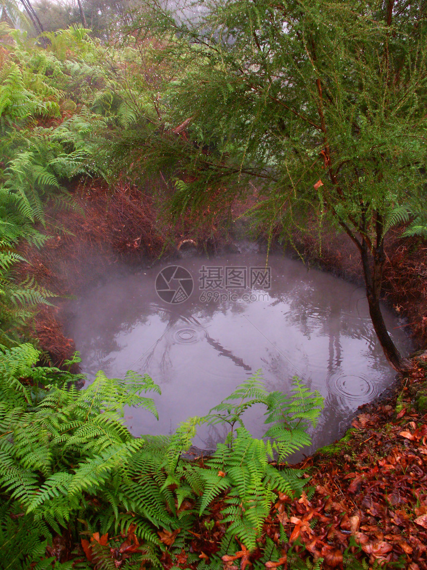 新西兰地热火山蕨类荒野蒸汽旅行水池植被公园薄雾图片