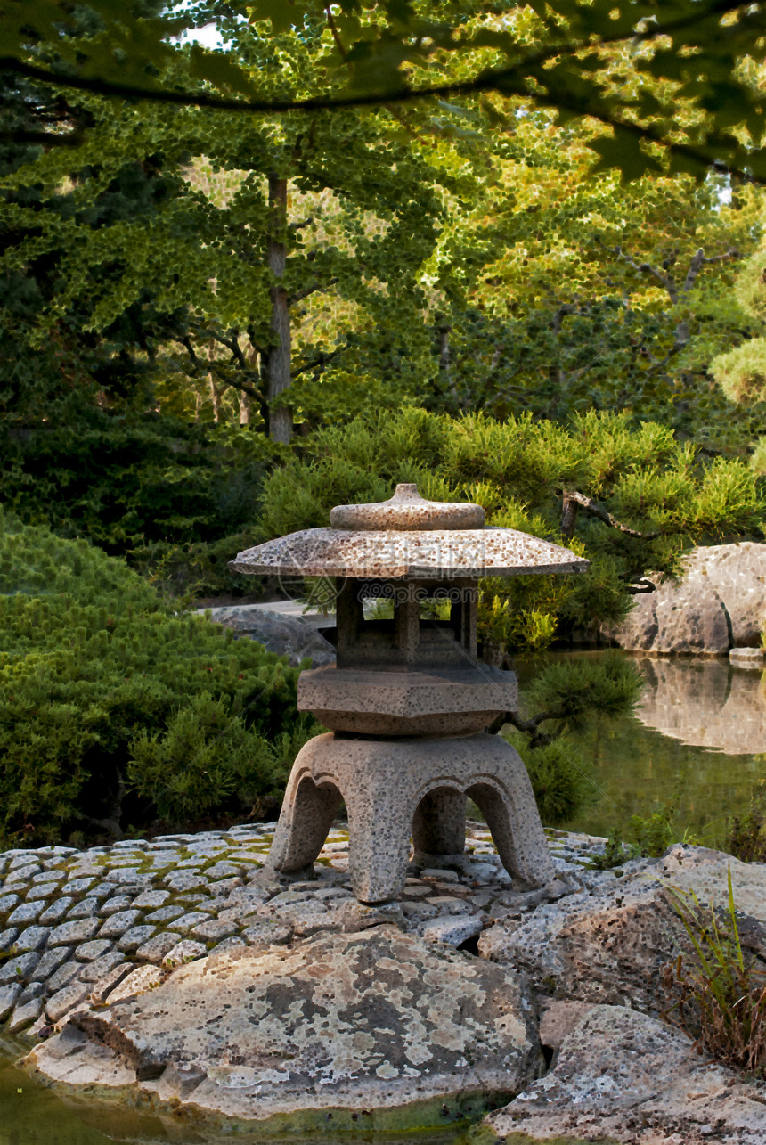 日本花园植物公园艺术环境绿色太阳晴天文化花园树木图片