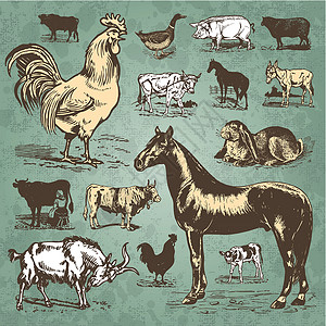 马古罗农场动物古植物组矢量收藏古董哺乳动物小牛雕刻动物园山羊艺术鸭子动物群插画