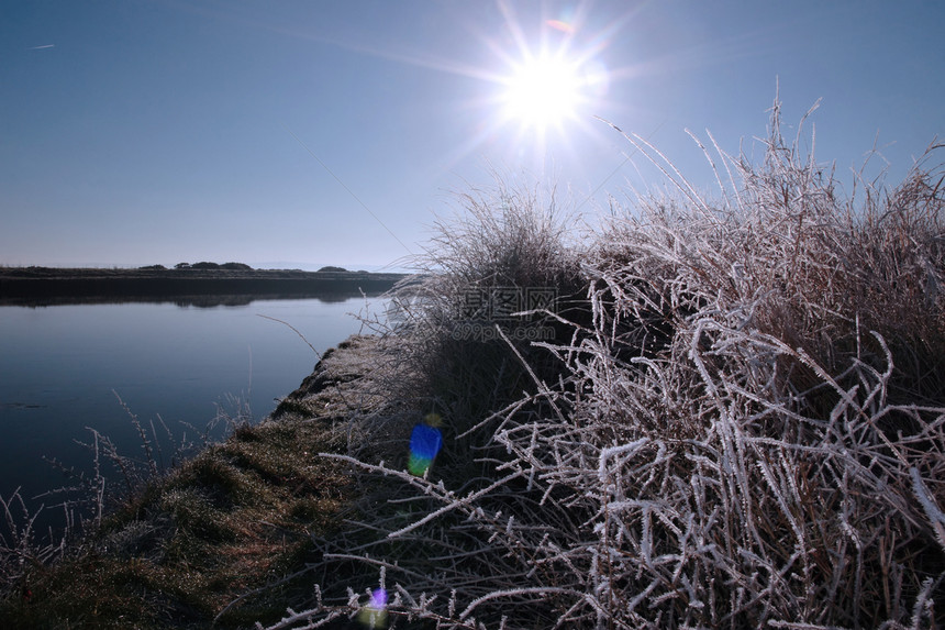 雪中冰霜的枝子 在蓝色黎明与河流之间图片