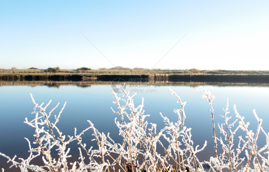 寒冷的蓝天和河流与雪中的冻结树枝图片