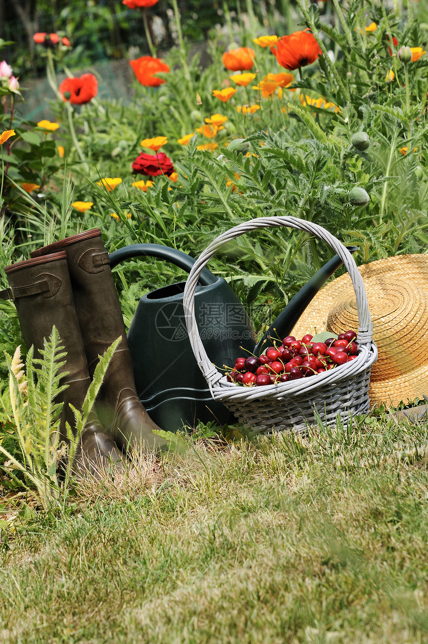樱桃花园蔬菜收成绿色水果篮手套靴子环境乡村花园文化图片