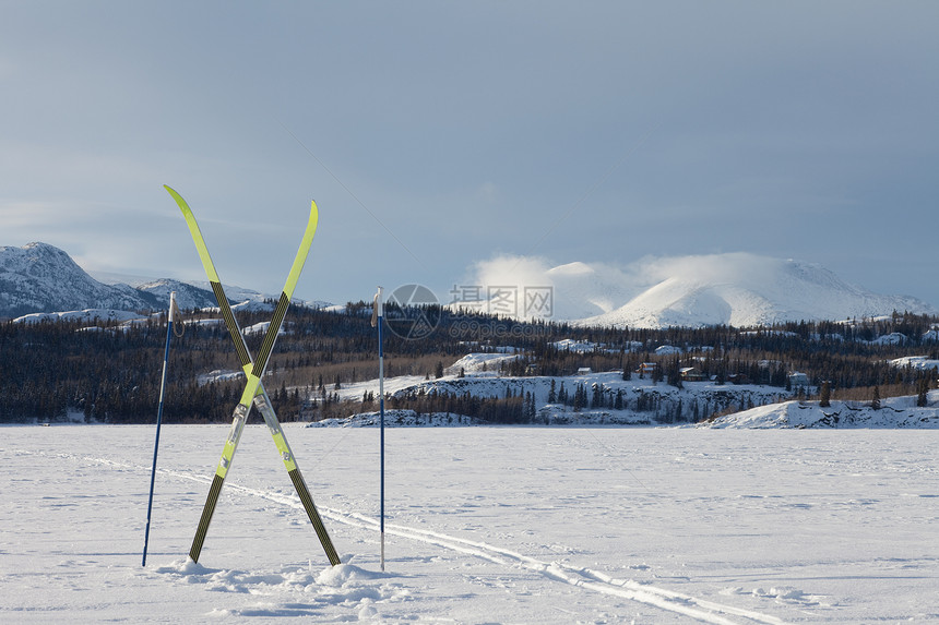 X国家冬季滑雪运动概念小路冻结探索状况寒意农村冒险娱乐活力精力图片