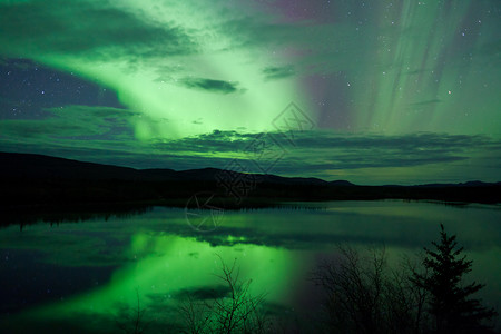 夜天星云 北极光照耀天空北极星场地反射天文学极光白马磁层粒子星星背景图片