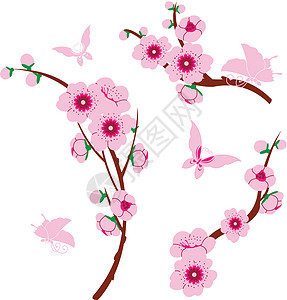 投我以木桃樱木元素文化花园插图天堂绘画植物框架李子繁荣蝴蝶插画