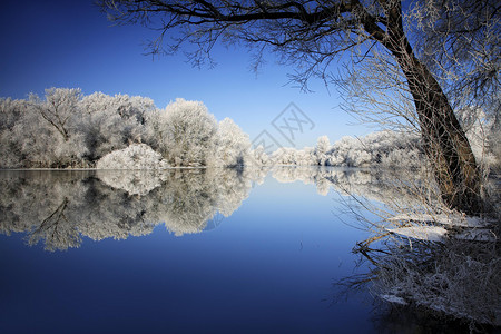 冬季湖低温季节树木摄影溪流白色下雪灰色风景水平背景图片