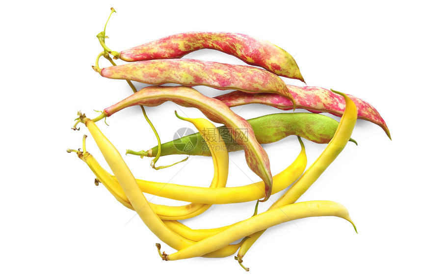 不同豆类粉色植物食物白色黄色红色花斑叶子水果饮食图片