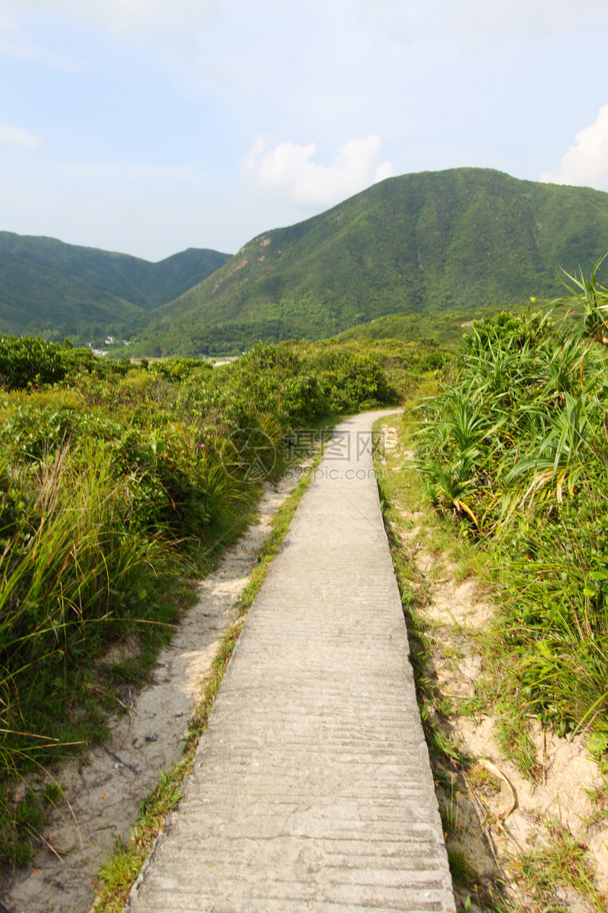 山上徒步足迹脚步植物太阳爬坡叶子阳光地标木头途径远足图片