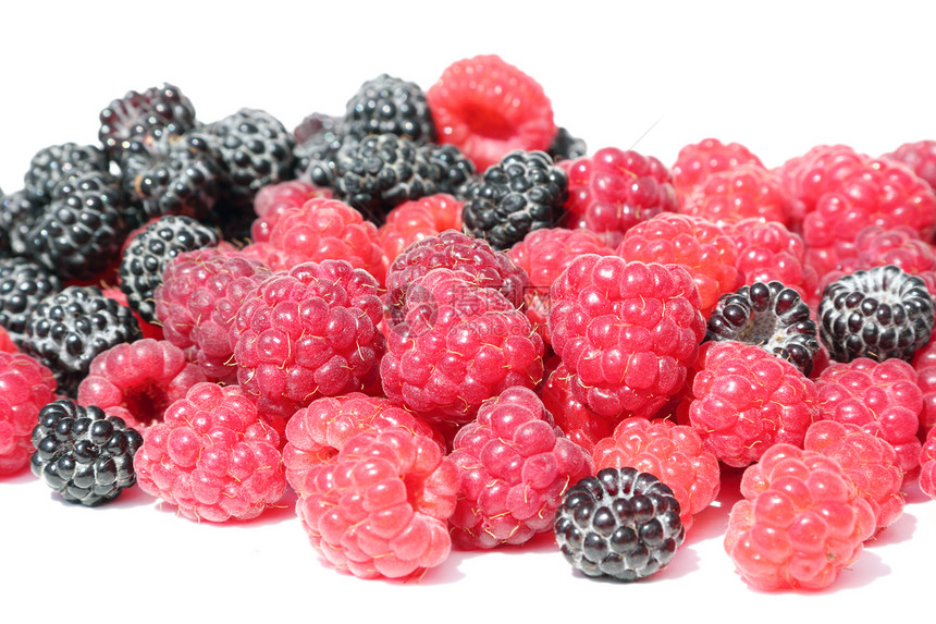 黑和红草莓水果团体园丁养分花园浆果农业食欲食物饮食图片
