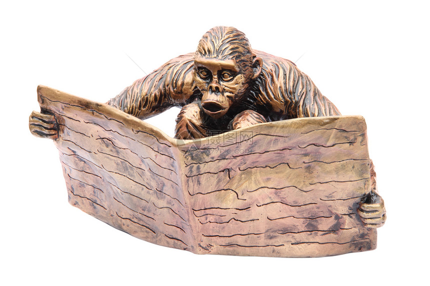 阅读猴子猿猴青铜教育学习玩具概念塑像鬼脸姿势图片