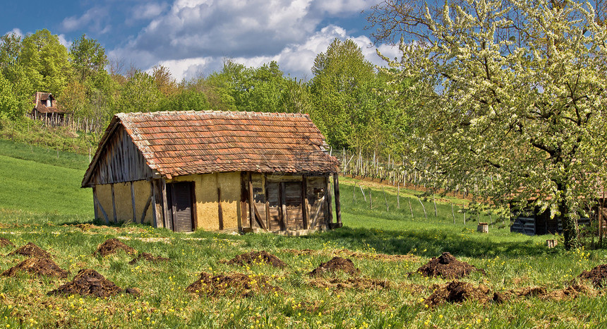 关于旧传统小屋的春季观景图片
