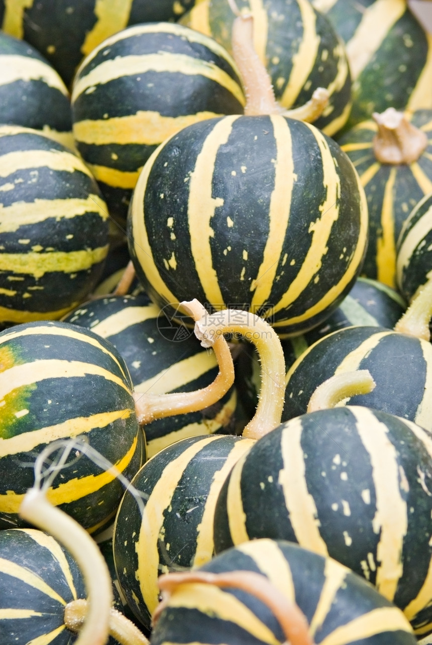 南南瓜南瓜绿色销售季节葫芦壁球黄色橙子博览会植物图片