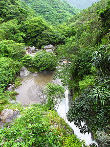中央山脉波多黎各的雨林背景
