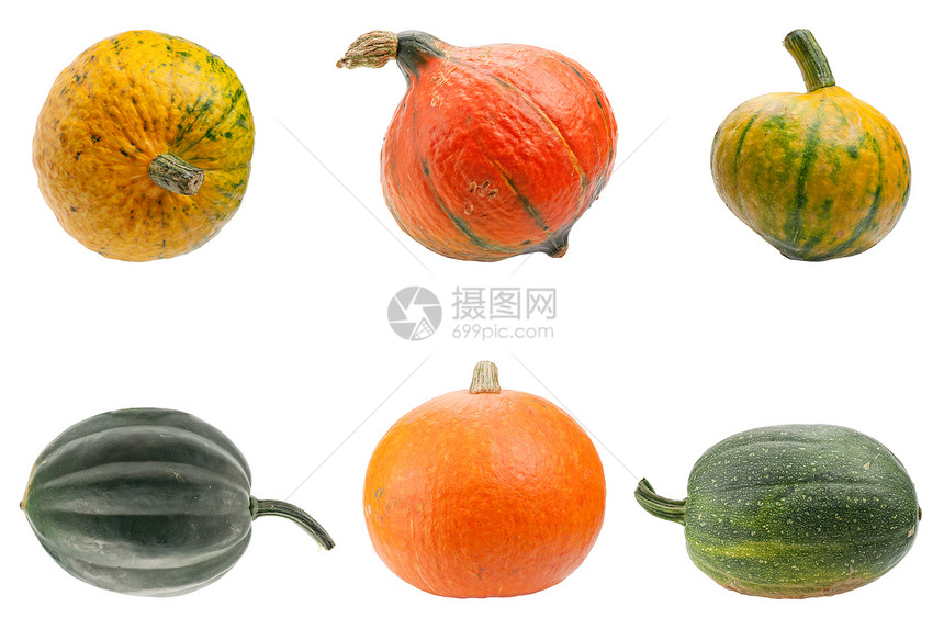 在白色背景中孤立的多彩南瓜黄色蔬菜绿色葫芦植物生态食物水果橙子摄影图片