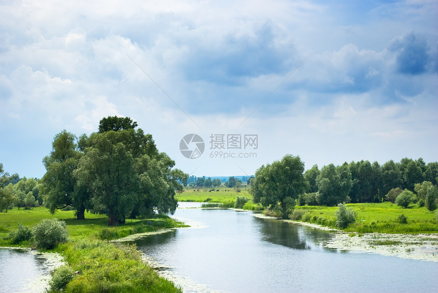 森林湖假期荒野森林地平线蓝色全景孤独天空海岸线阳光图片