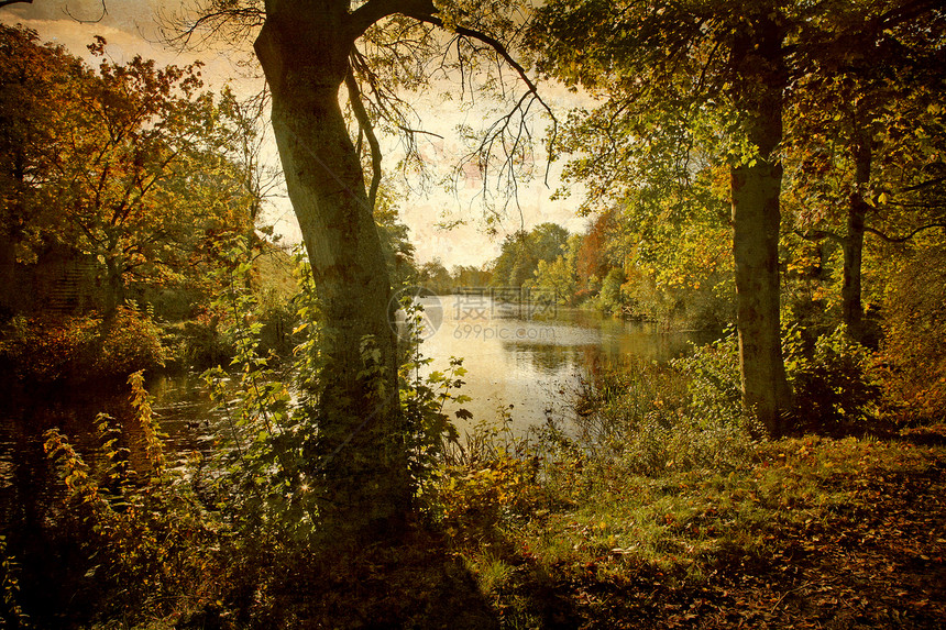 在湖边的秋天时间旅行创造力公园农村摄影木头风景吸引力衰变图片