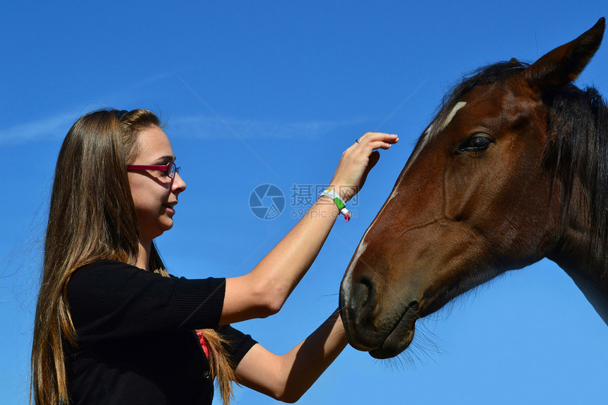 女孩爱抚马匹图片
