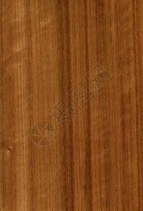 木质纹理木材木纹木头地面背景图片
