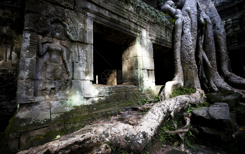 Ta Prohm的树苔藓高棉建筑寺庙废墟岩石高棉语图片