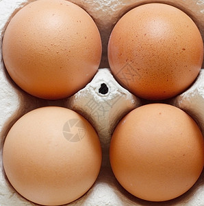 蛋免费食物工作室橙子摄影鸡蛋盒范围背景图片