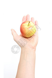 苹果工作室水果摄影背景图片