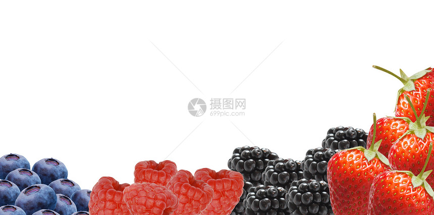 贝类框架水果边界红色工作室浆果图片