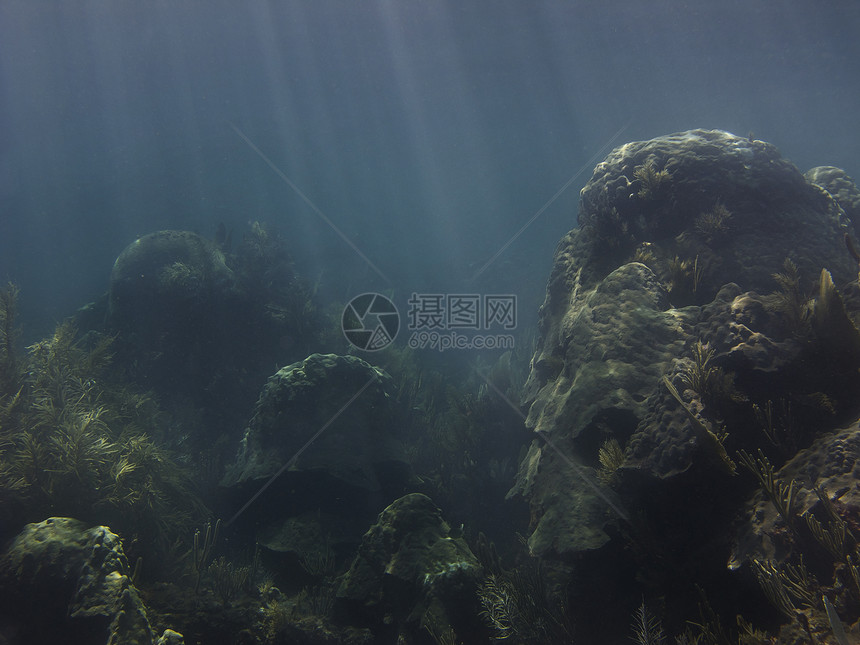 珊瑚天堂海洋潜水员假期裂缝旅游运动情调岩石潜水蓝色图片