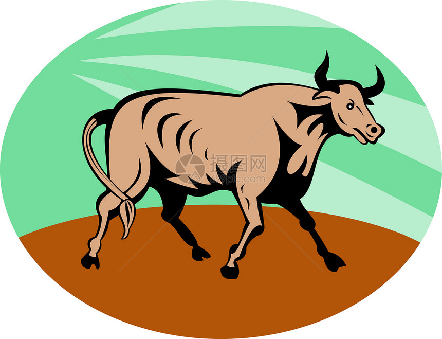 长角公牛充电奶牛收费愤怒长角牛插图哺乳动物库存喇叭野生动物动物图片