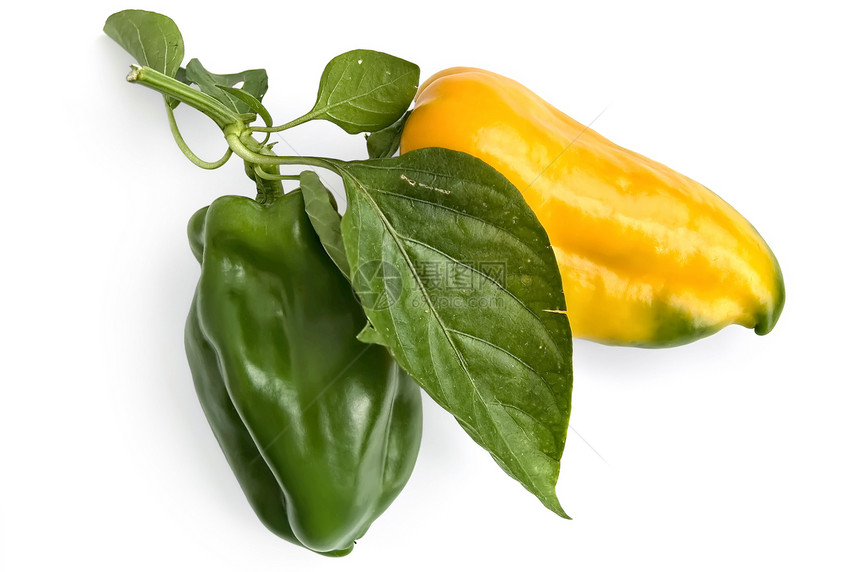 黄辣椒和绿胡椒香料叶子黄色水平蔬菜白色胡椒图片