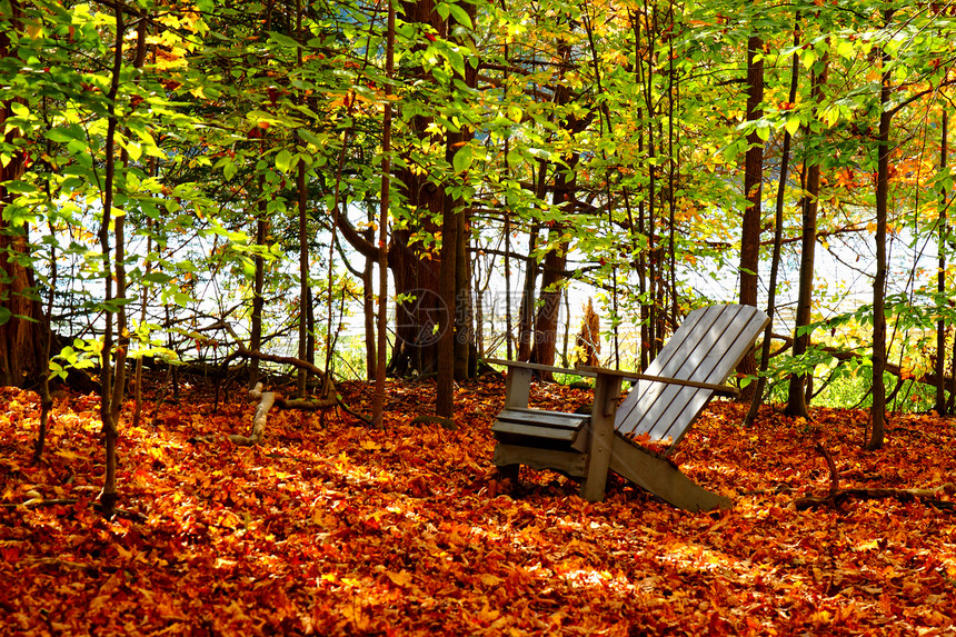 秋季椅子图片