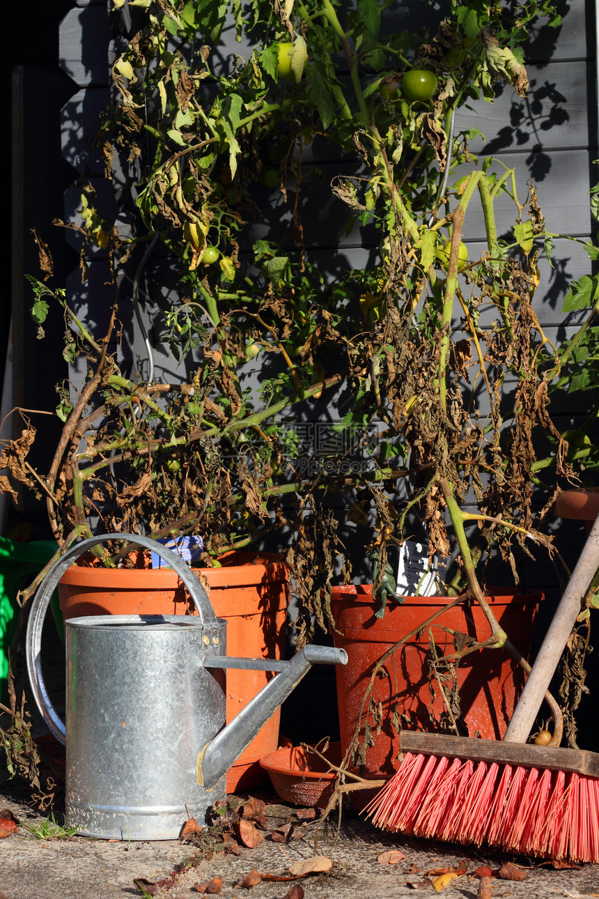 园内静沙花园生活扫帚西红柿扫把静物园艺植物喷壶花盆图片