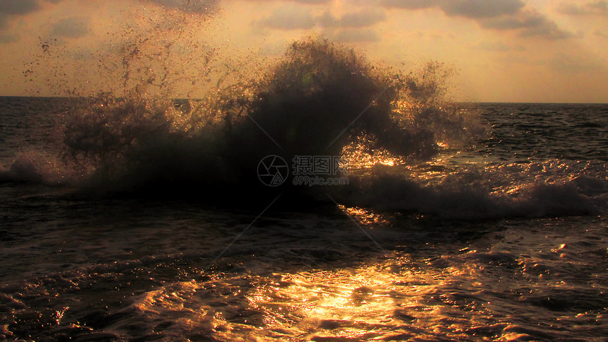 海马风暴浪花海马图片