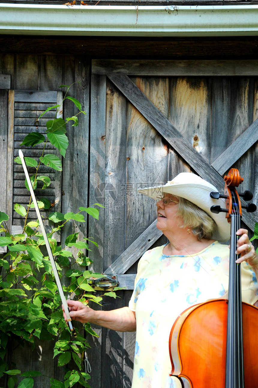 女大提琴手字符串成人声学乐器独奏大提琴音乐音乐家图片