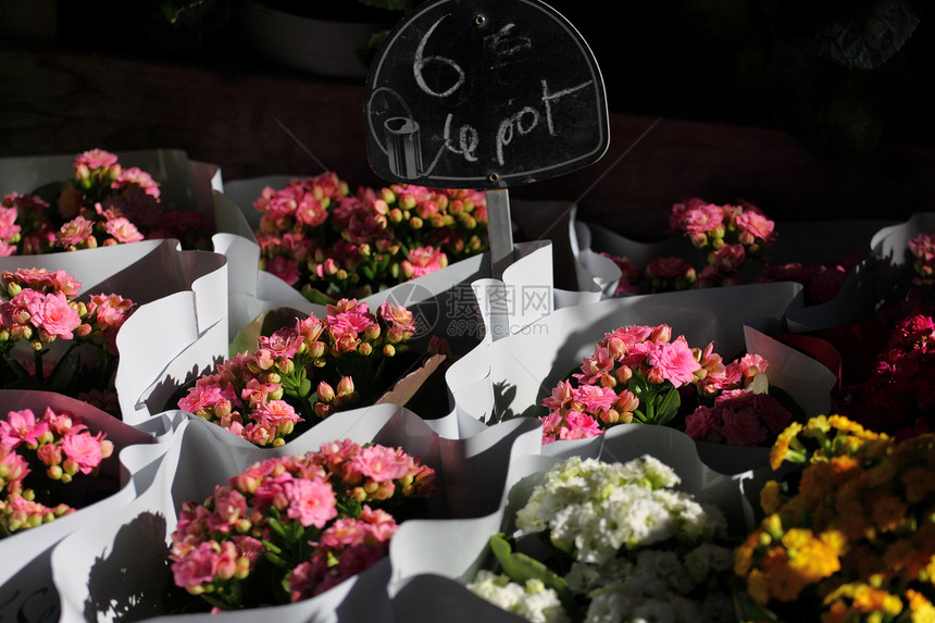 在巴黎市场销售的花卉种类繁多季节花瓣宏观花束庆典花园橙子大车郁金香店铺图片