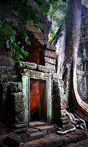 魔法塔普罗姆丛林寺庙高清图片